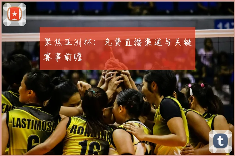 聚焦亚洲杯：免费直播渠道与关键赛事前瞻