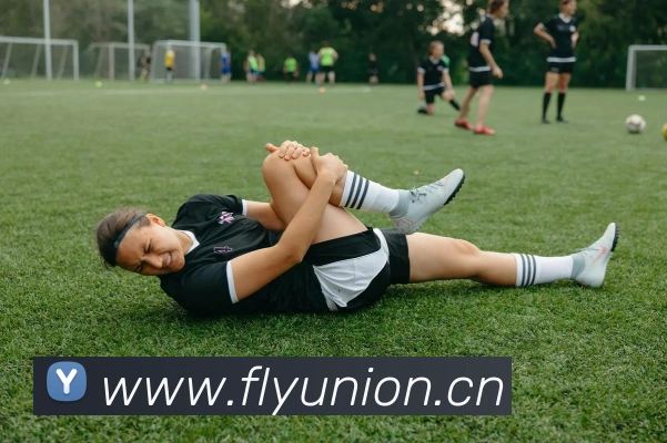 星空官网免费入口发展历程